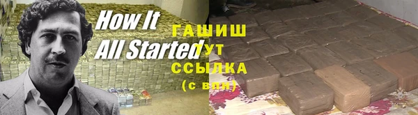 PSILOCYBIN Бугульма