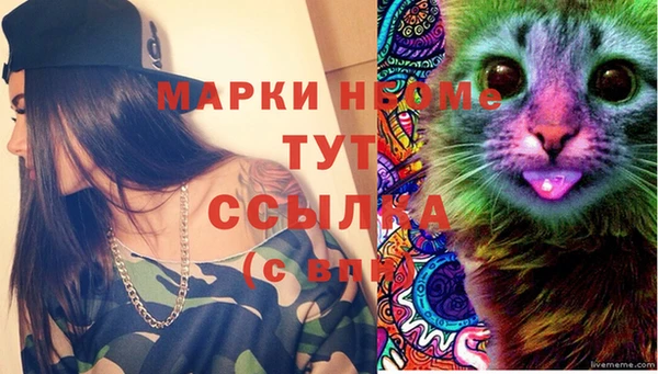 jwh Бородино